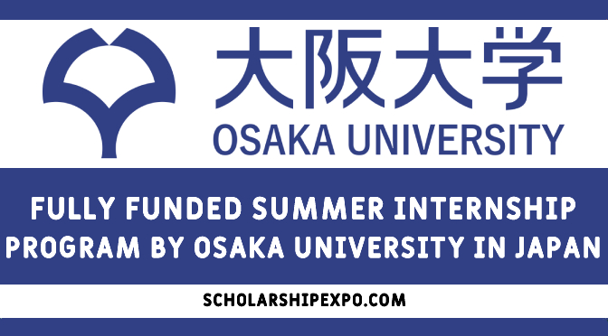 Osaka University Summer Internship 2023