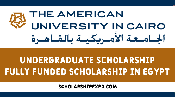 Undergraduate Scholarship in Cairo, Egypt 2023