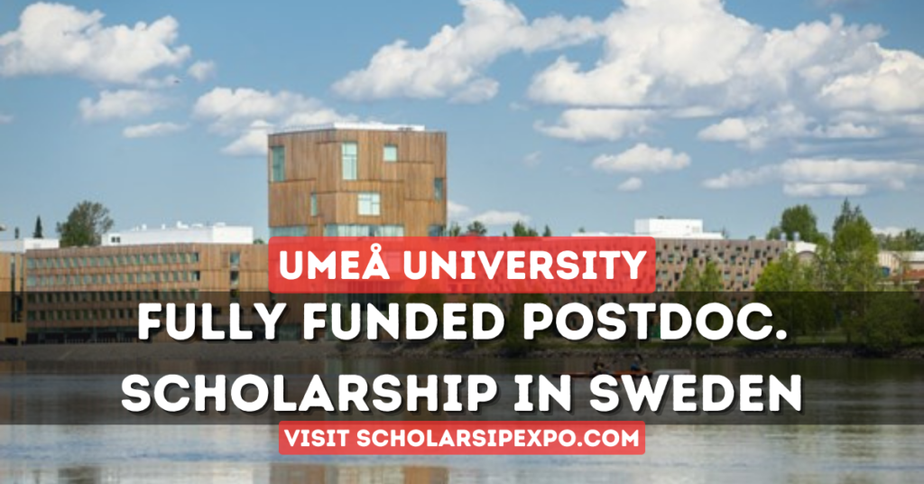 Umeå University Postdoctoral Scholarship 2024 in Sweden