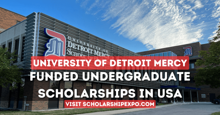 University of Detroit Mercy Scholarships 2024 in the USA